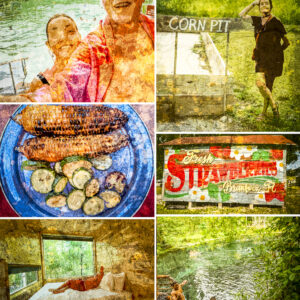 Florida Springs Trip Collage