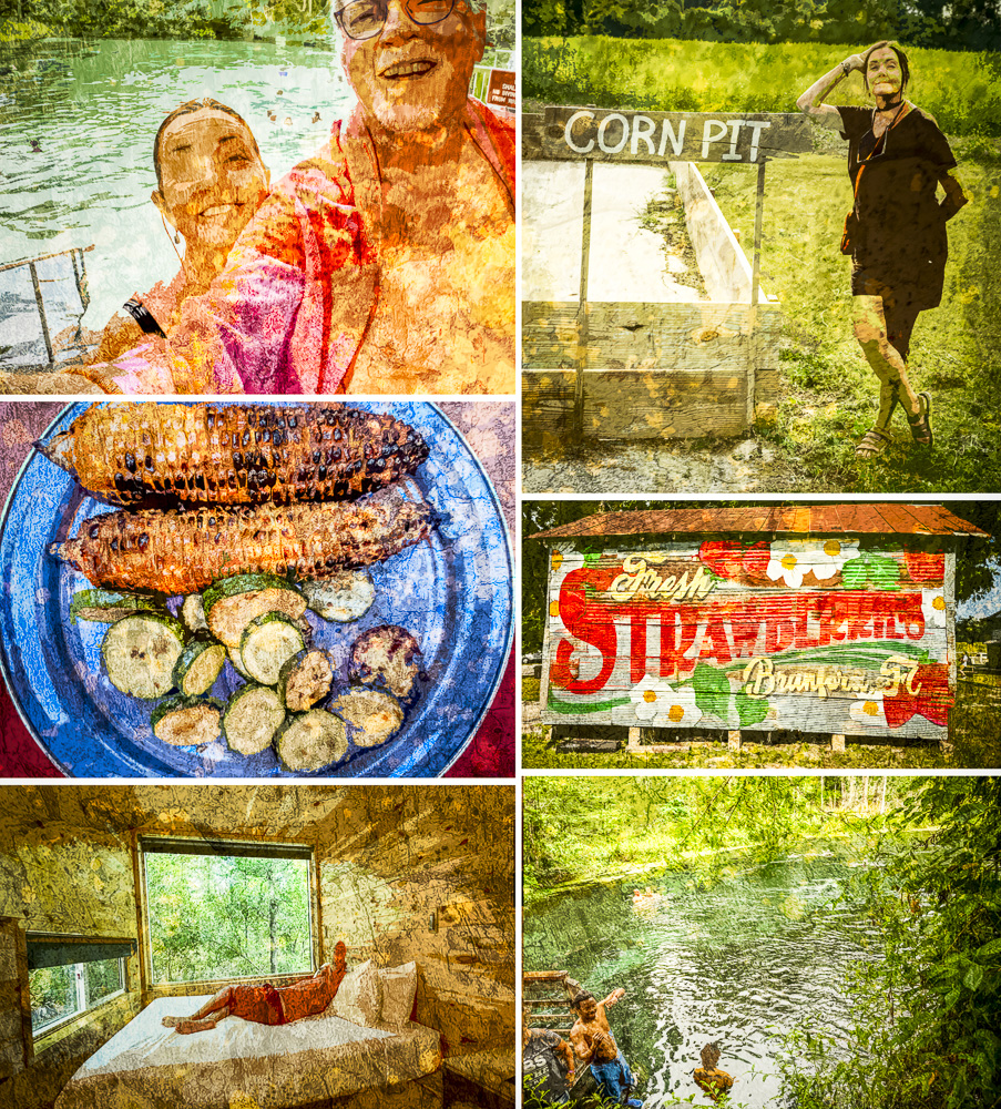 Florida Springs Trip Collage