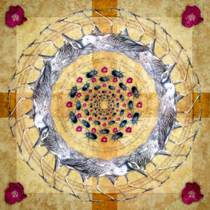 Yellow-crowned Night Heron Mandala