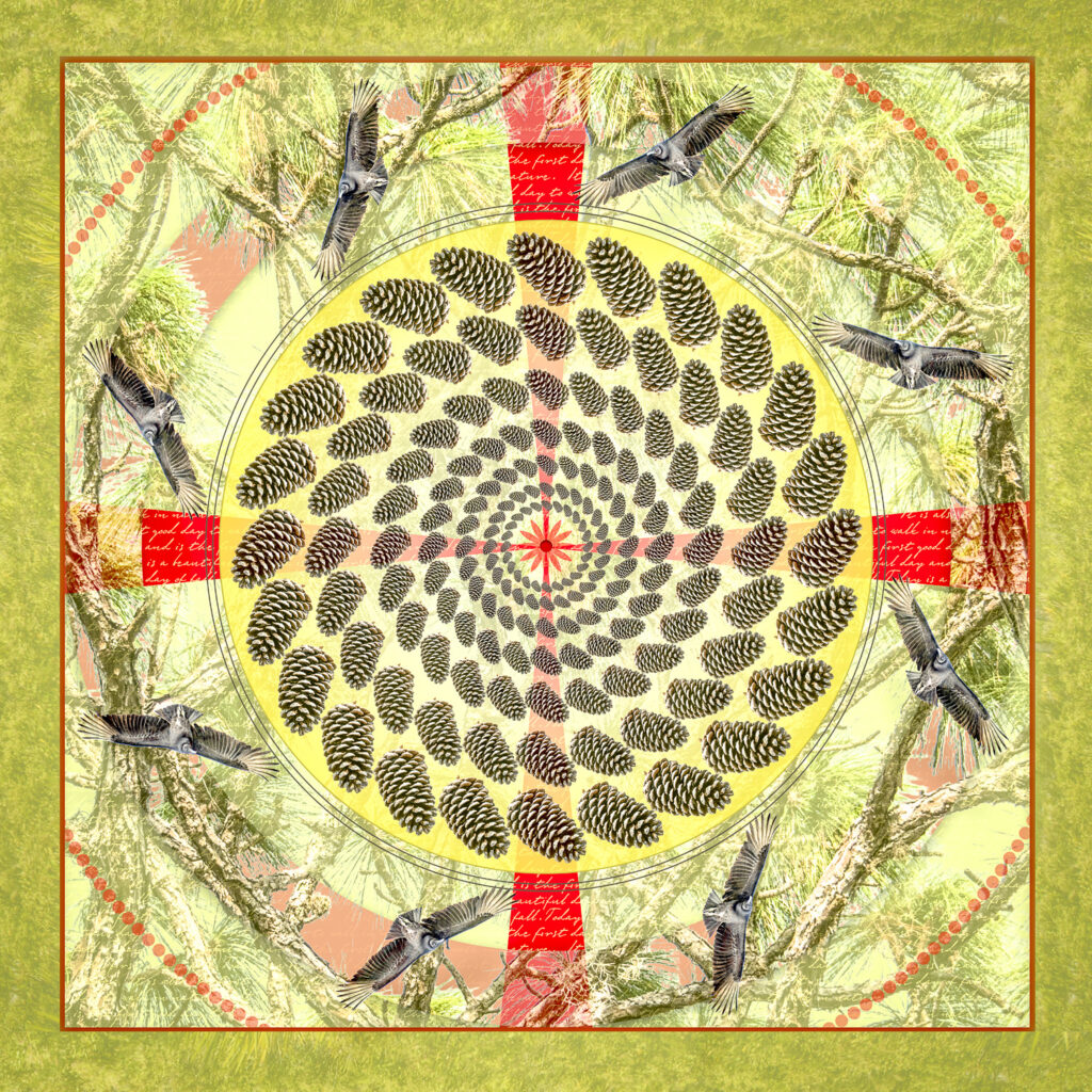 Myakka Park Mandala