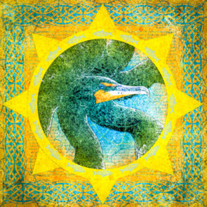 Double-crested Cormorant