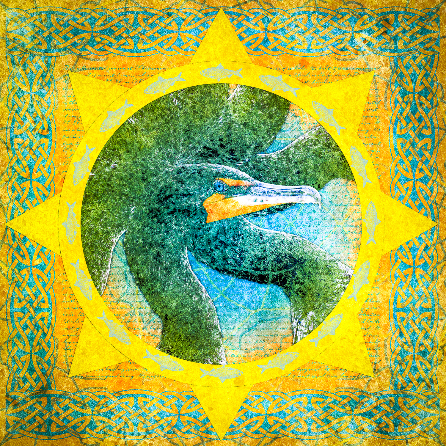 Double-crested Cormorant