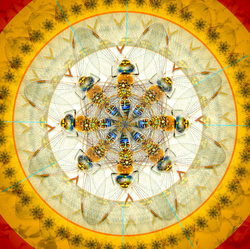 Dragonfly Mandala