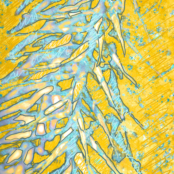 Ragged Fern