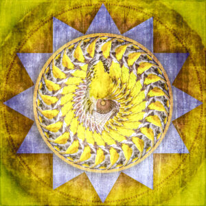 Eastern Meadowlark Mandala