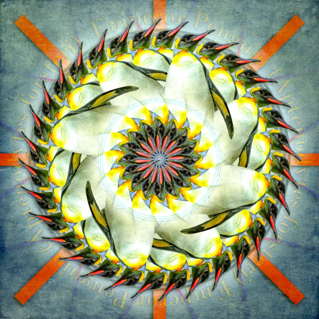 Emperor Penguin Mandala