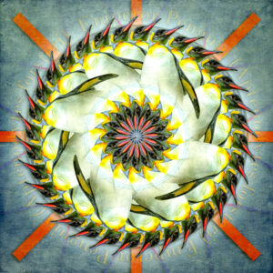Emperor Penguin Mandala