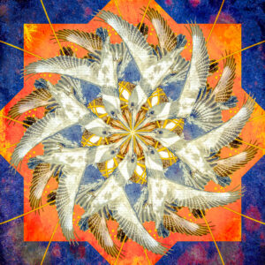 Belted Kingfisher Mandala