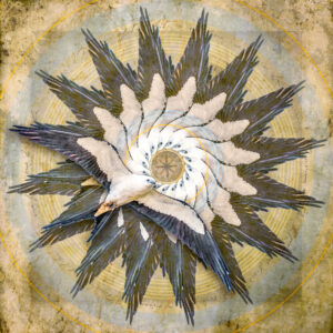 Swallow-tailed Kite Mandala