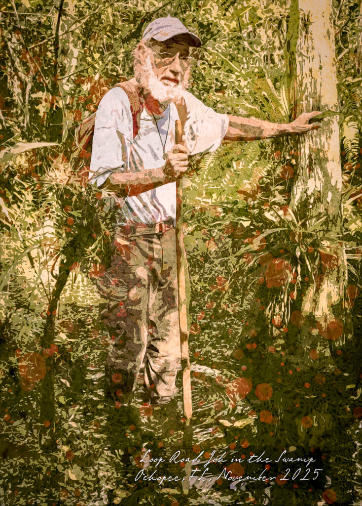 Loop Road John in the Swamp