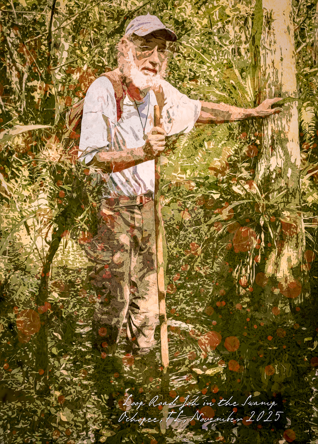 Loop Road John in the Swamp