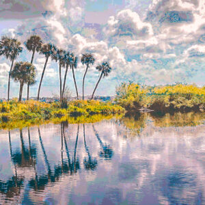Deep Hole, Myakka River State Park